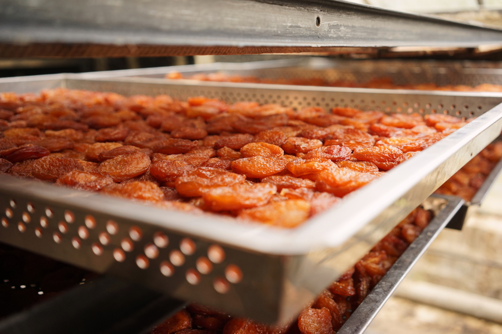drying fruits